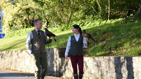 lyrath-activities-falconry-1