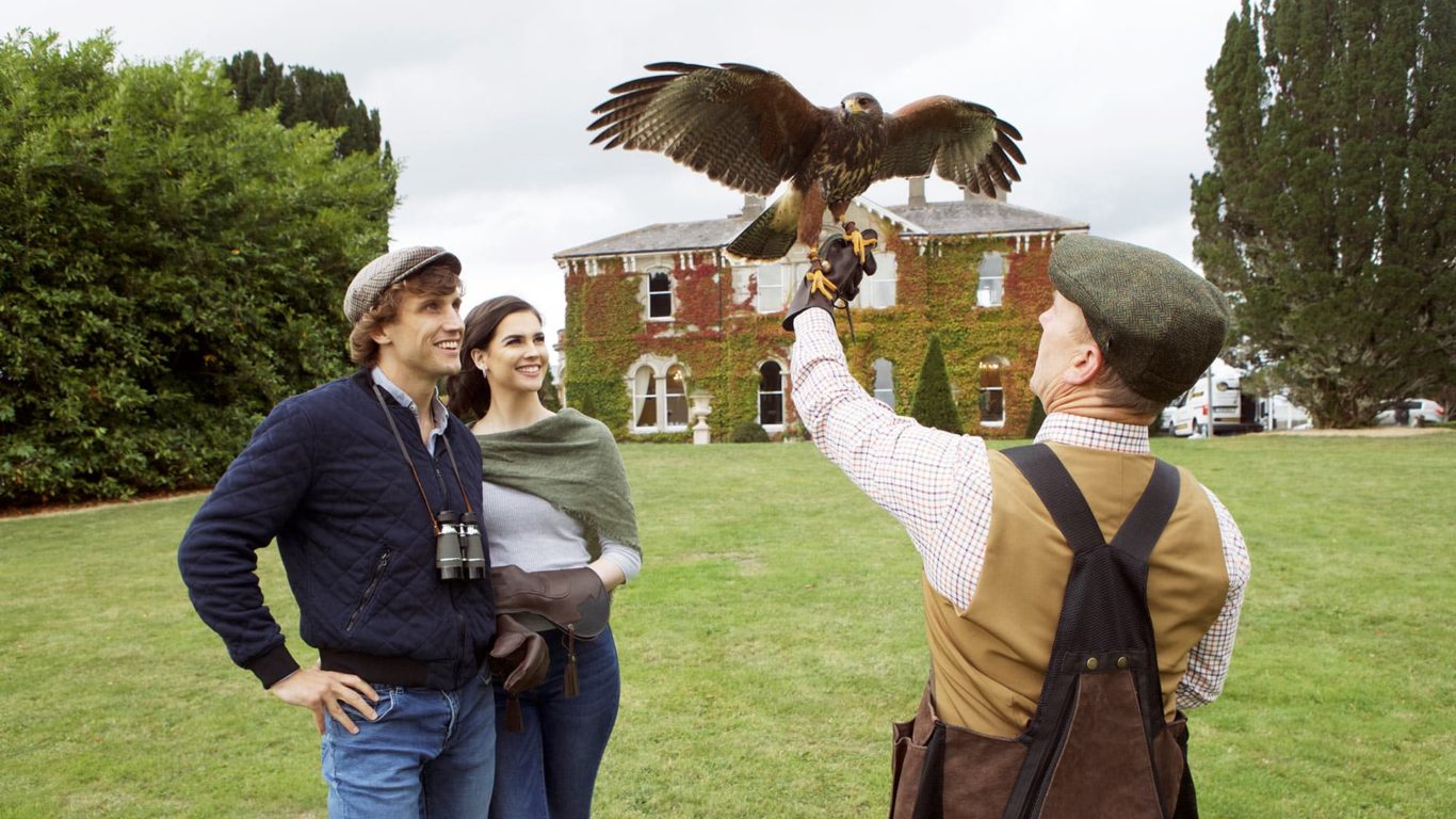 lyrath-activities-falconry-2