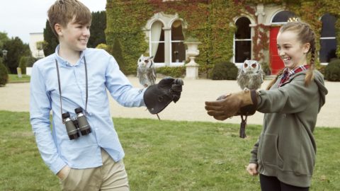 lyrath-activities-falconry-3