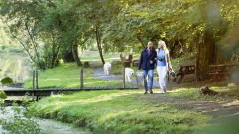 lyrath-activities-waling-&-picnic-1