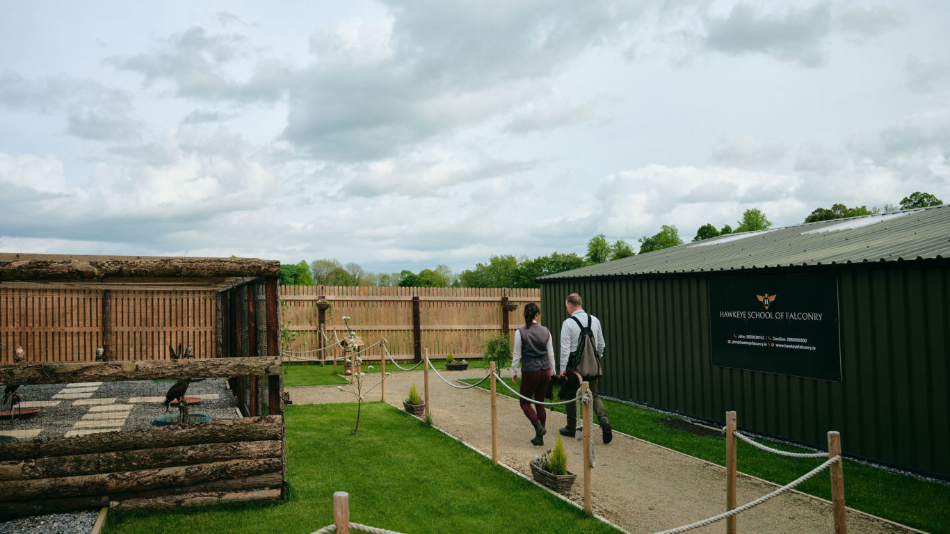 Lyrath_Estate_Falconry_01_Jack_Hardy_2022