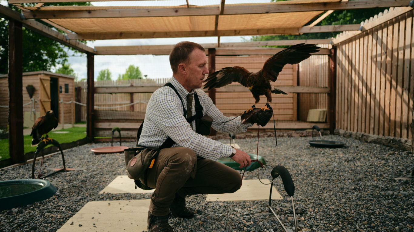 Lyrath_Estate_Falconry_08_Jack_Hardy_2022