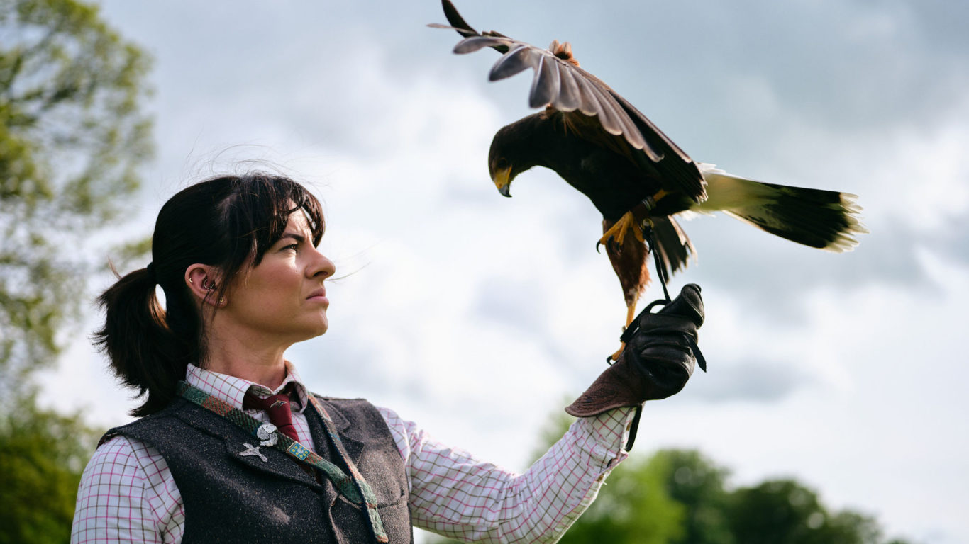 Lyrath_Estate_Falconry_23_Jack_Hardy_2022