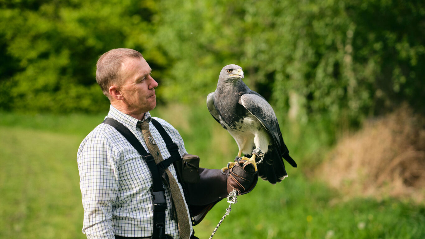Lyrath_Estate_Falconry_35_Jack_Hardy_2022