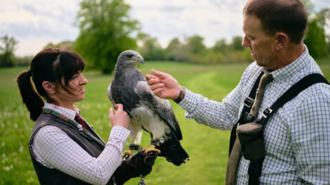 Lyrath_Estate_Falconry_26_Jack_Hardy_2022
