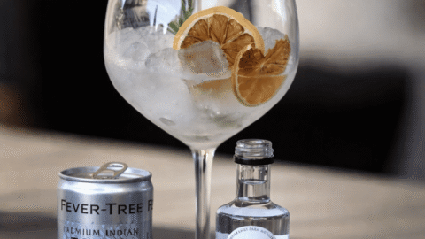Enjoy a refreshing gin and tonic with rosemary and citrus garnish, showcasing hotel&rsquo;s elegant cocktail experience.