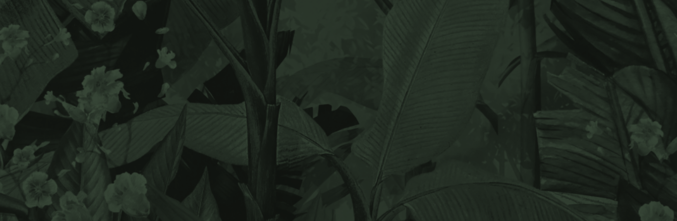 Untitled design (40)