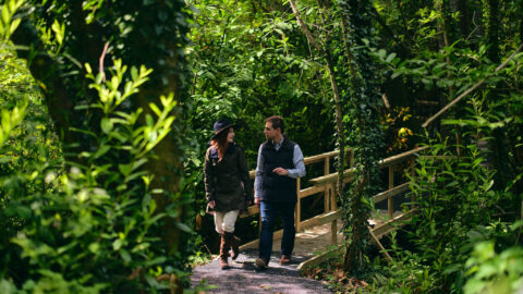 Lyrath_Estate_Lifestyle_05_Jack_Hardy_2022