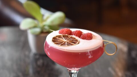 A pink cocktail in a coupe glass with a dried citrus slice and fresh raspberries on top, sitting on a marble table with a potted plant in the background.