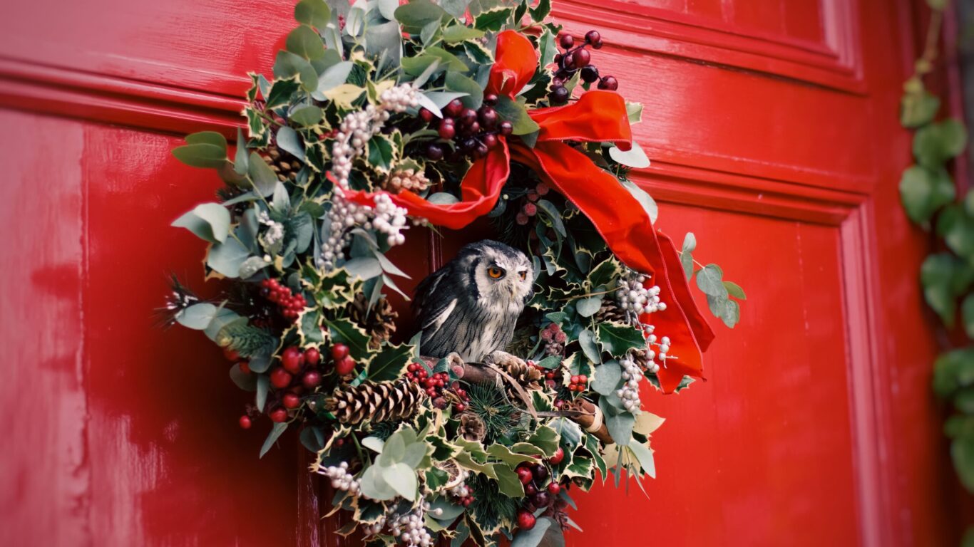 A small owl sits inside a festive wreath made of greenery, berries, and pinecones, hung on a red door.