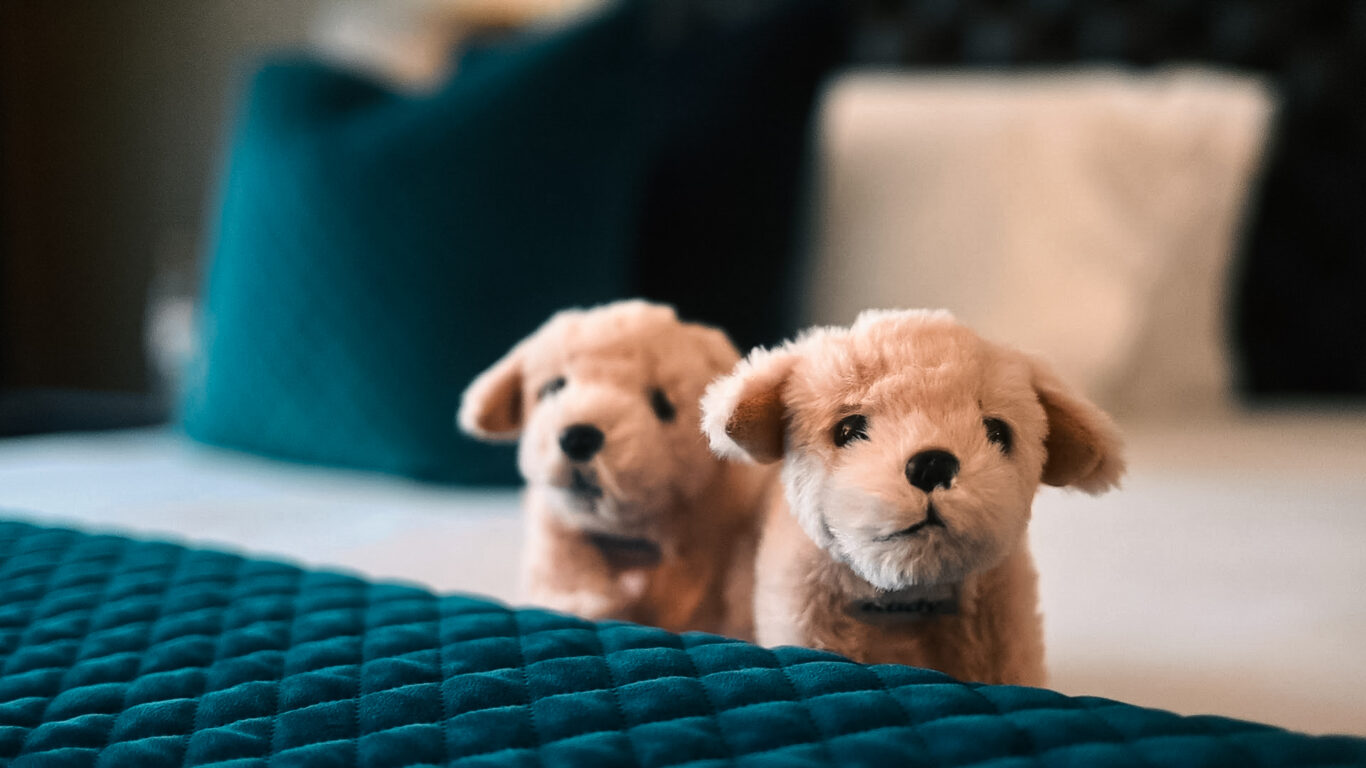 Cosy hotel room with plush dog toys on a teal quilted bed, inviting relaxation and comfort. Perfect family-friendly stay.