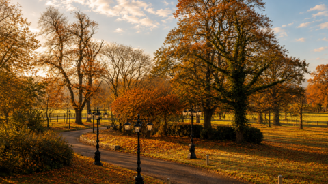 Serene autumn path in hotel garden, with vintage lampposts and colourful foliage under a bright sky.