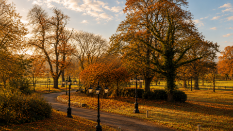 Serene autumn path in hotel garden, with vintage lampposts and colourful foliage under a bright sky.