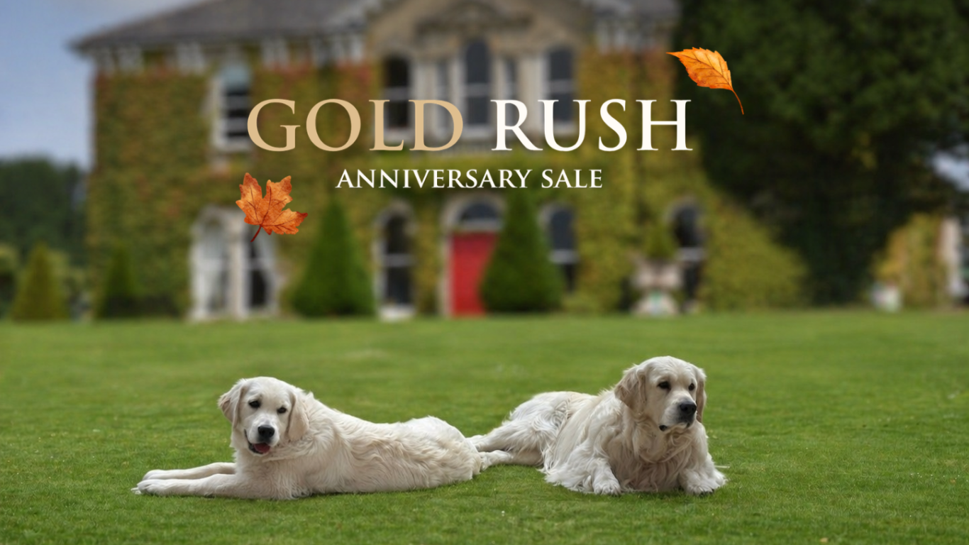 Charming countryside hotel with lush garden and two golden retrievers on lawn, perfect for a peaceful getaway experience.